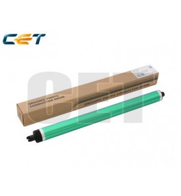 XECE101030-NTN