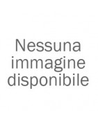 Distruggidocumenti HSM